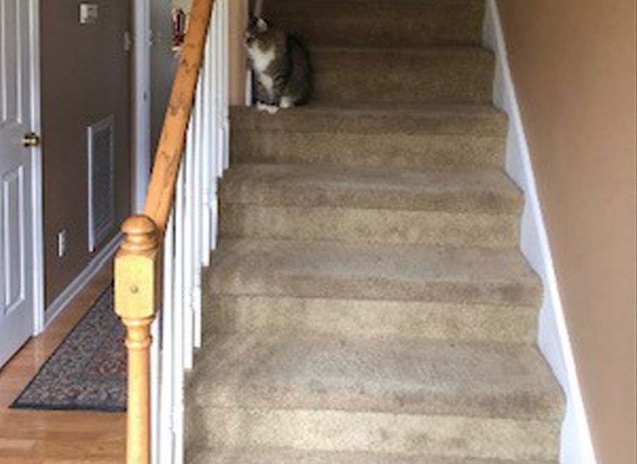 Before Hardwood Flooring Installation on Staircase