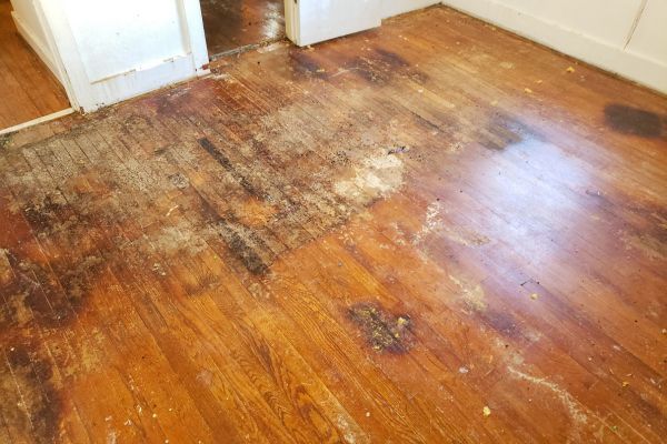 Hardwood Flooring Repair in Knoxville TN